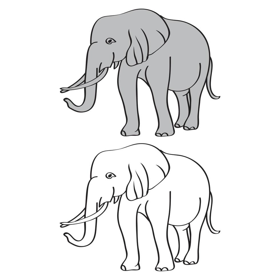 Elephant cartoon isolated on white. African bush or forest elephant and Asian elephant vector