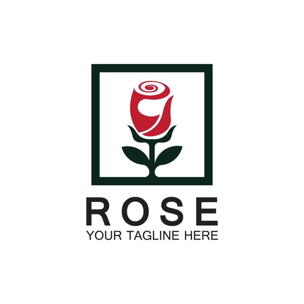 Rose logo flower vector icon illustration design