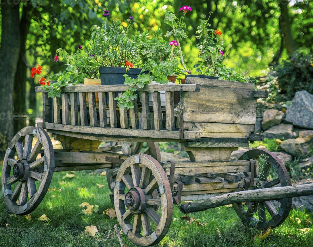 old wooden cart with round wheels photo