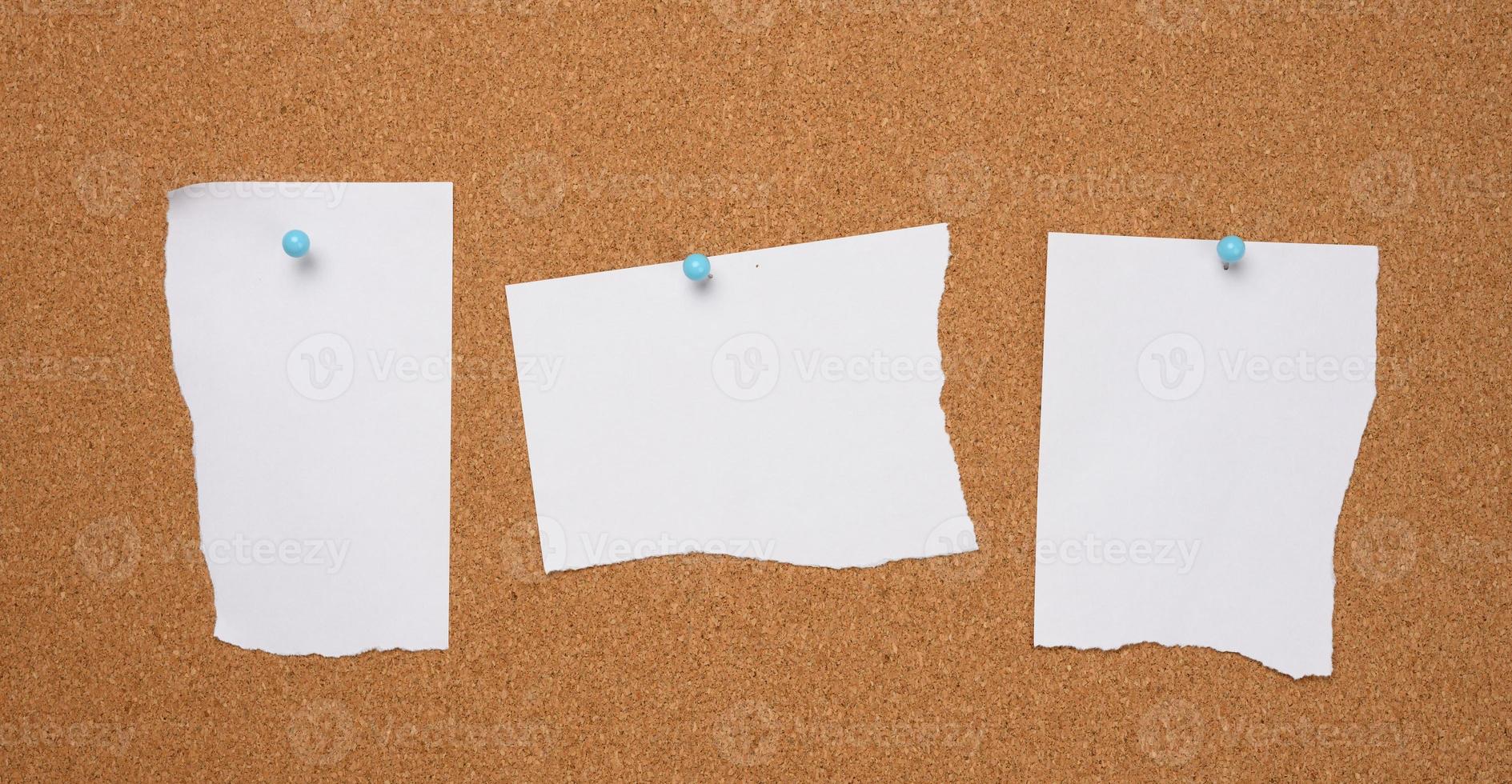 torn white blank white sheet of paper affixed with a plastic button on a brown cork board photo