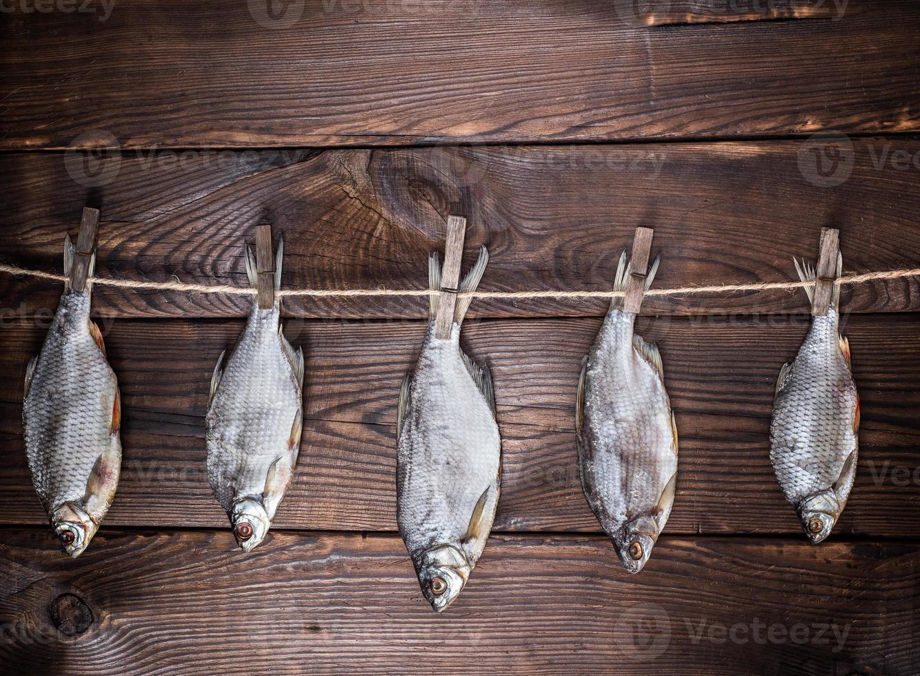 five dried salted fish ram hang on a rope photo