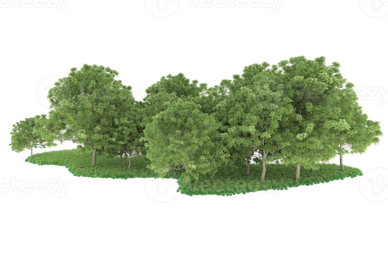 Realistic forest isolated on transparent background. 3d rendering - illustration png