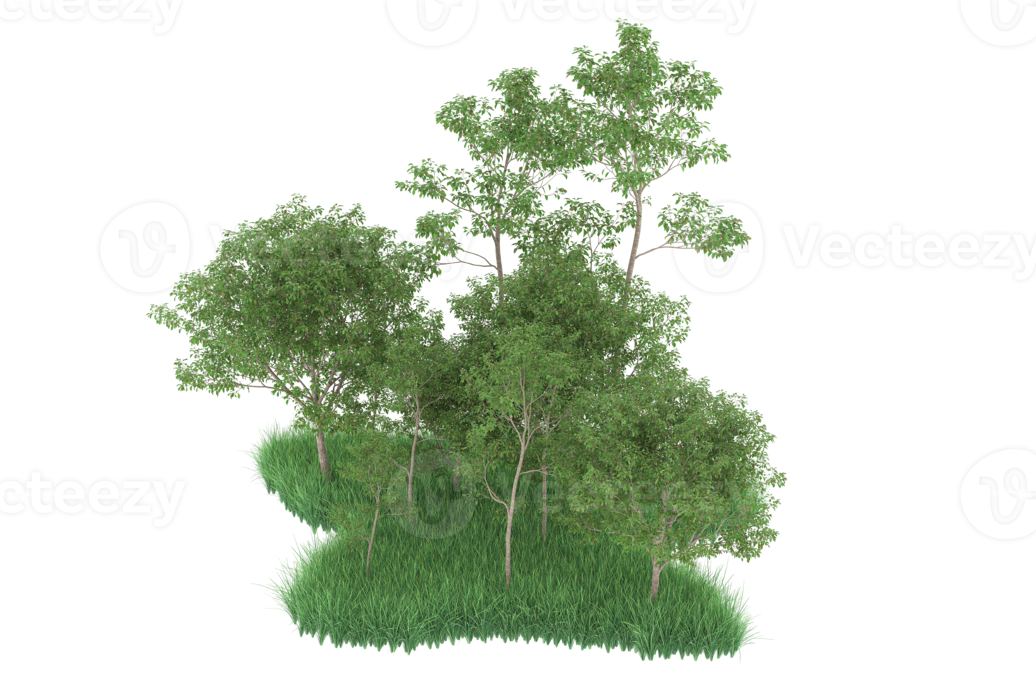 Realistic forest isolated on transparent background. 3d rendering - illustration png