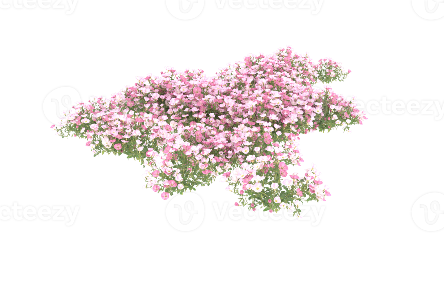 Realistic foliage isolated on transparent background. 3d rendering - illustration png