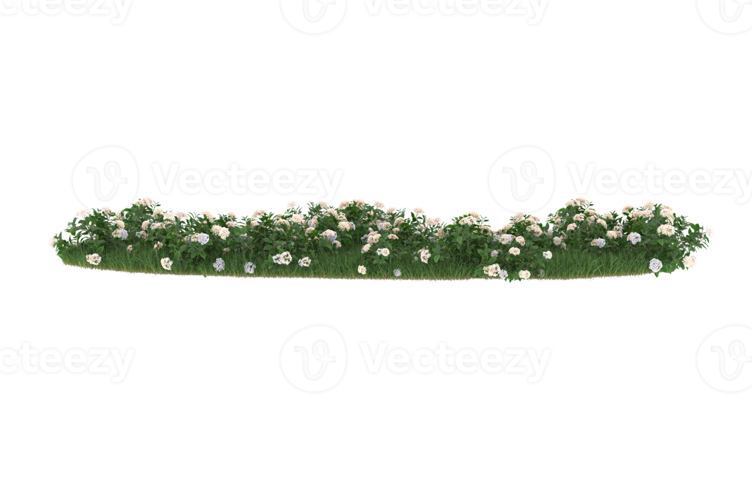 Realistic foliage isolated on transparent background. 3d rendering - illustration png