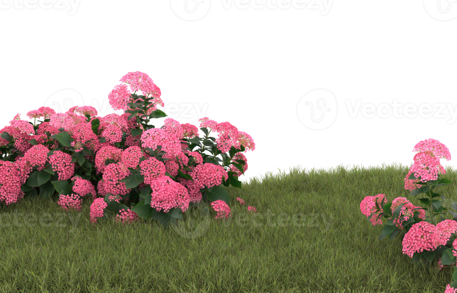 Realistic foliage isolated on transparent background. 3d rendering - illustration png