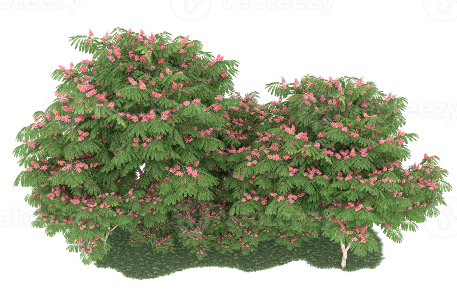 Realistic forest isolated on transparent background. 3d rendering - illustration png