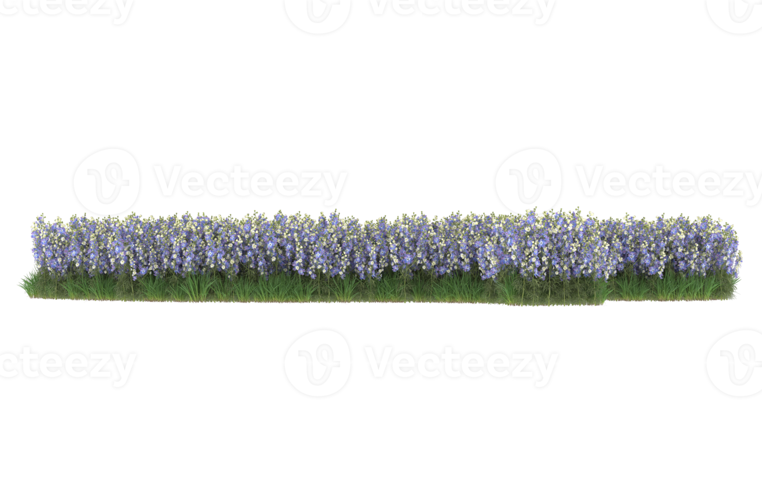 Realistic foliage isolated on transparent background. 3d rendering - illustration png