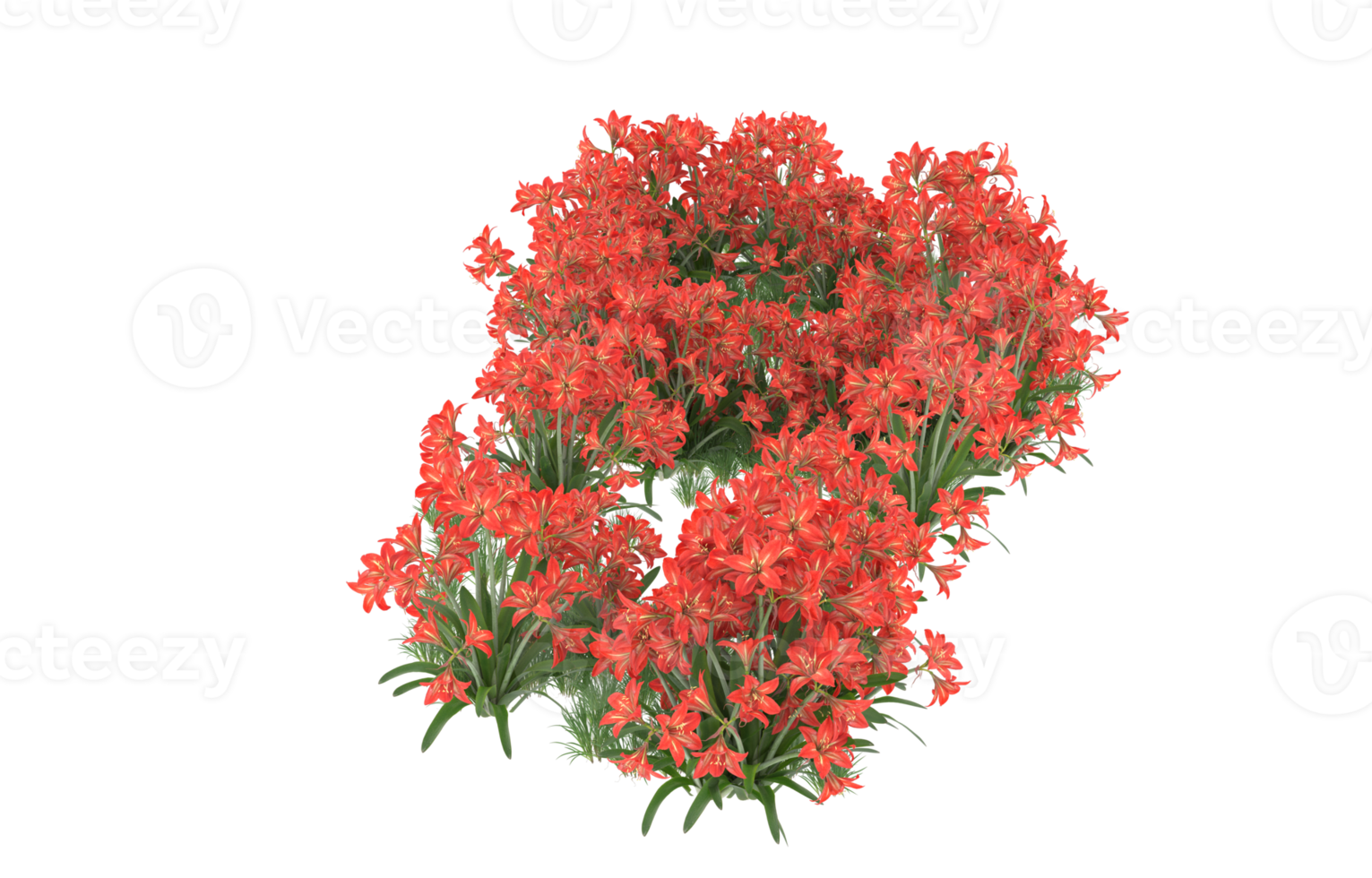 Realistic foliage isolated on transparent background. 3d rendering - illustration png