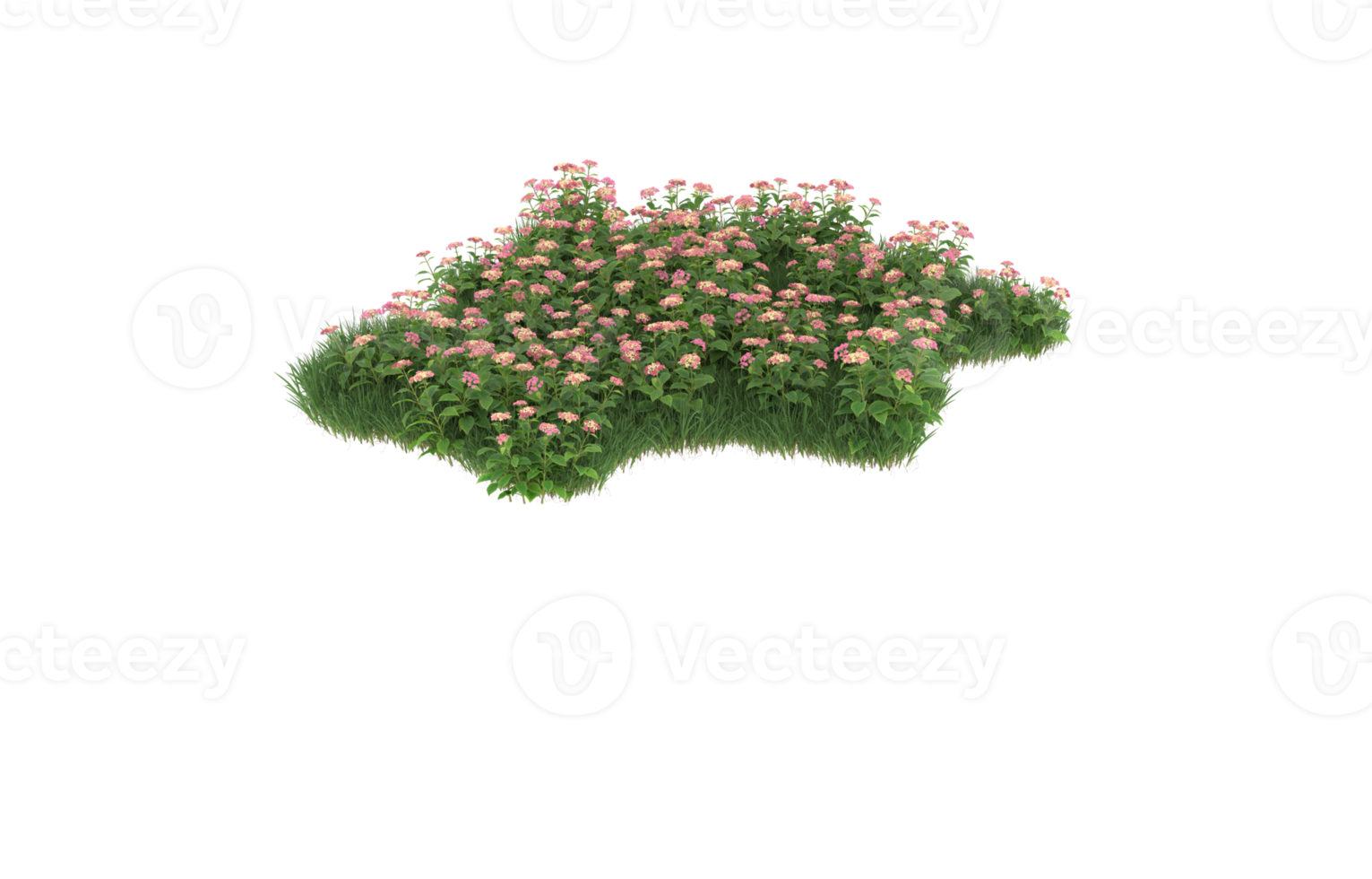 realistisk lövverk isolerat på transparent bakgrund. 3d tolkning - illustration png