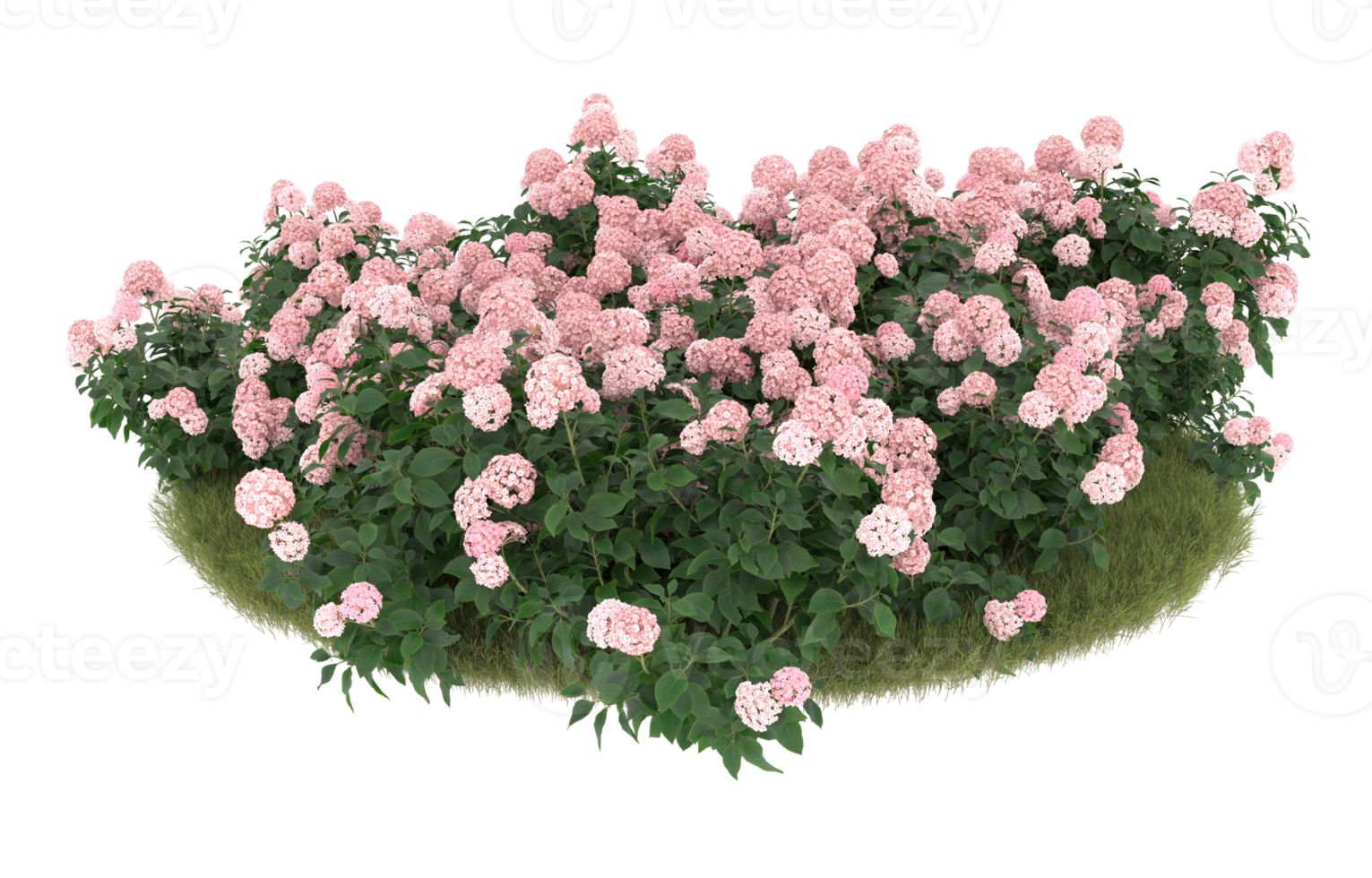 Realistic foliage isolated on transparent background. 3d rendering - illustration png