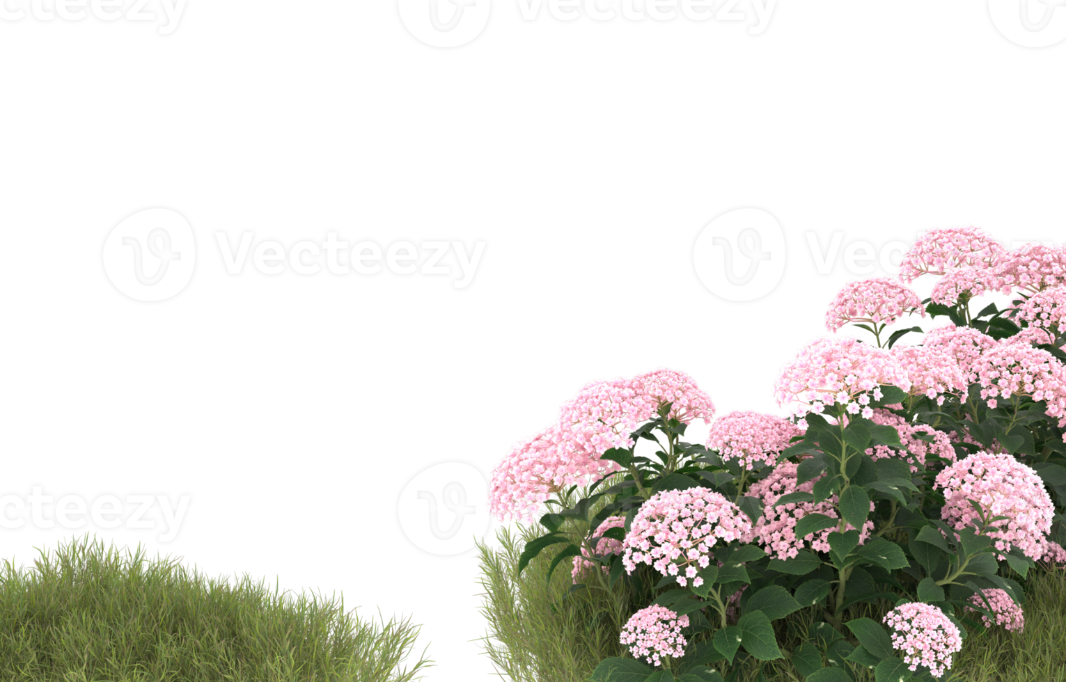 Realistic foliage isolated on transparent background. 3d rendering - illustration png
