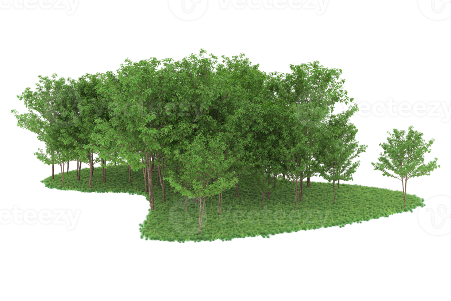 Realistic forest isolated on transparent background. 3d rendering - illustration png