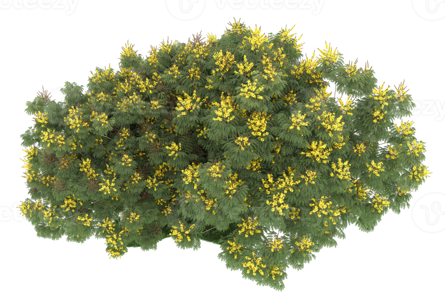Realistic forest isolated on transparent background. 3d rendering - illustration png