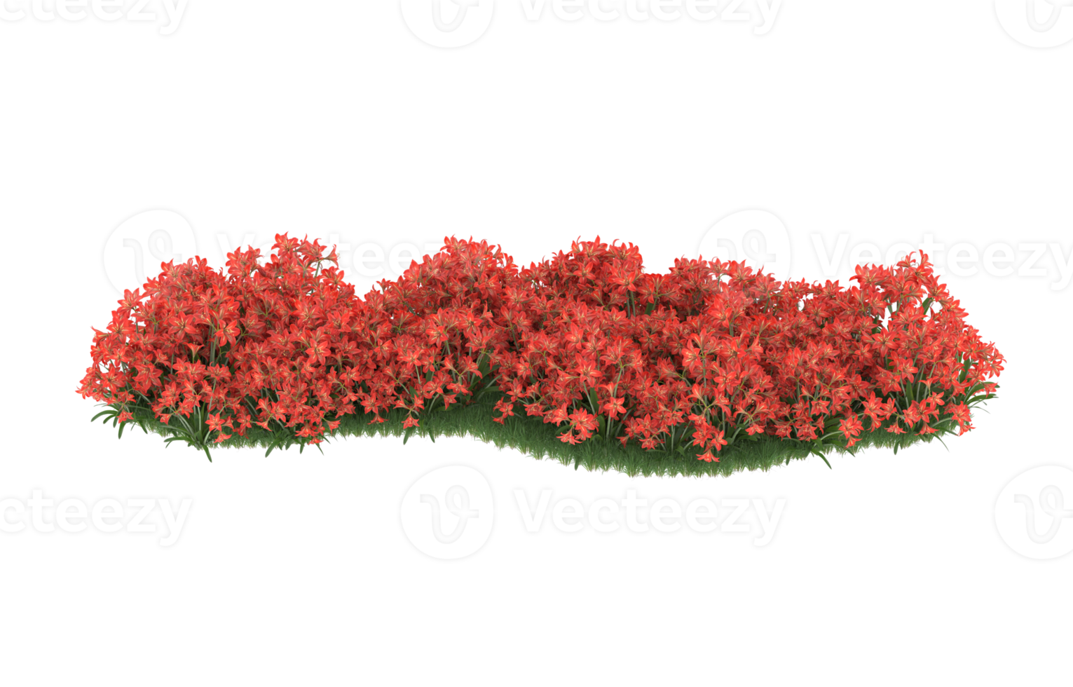 realistisk lövverk isolerat på transparent bakgrund. 3d tolkning - illustration png