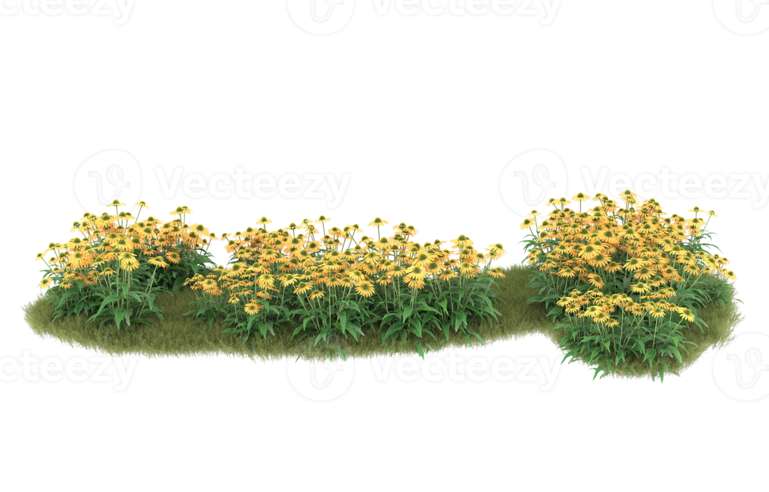 Realistic foliage isolated on transparent background. 3d rendering - illustration png