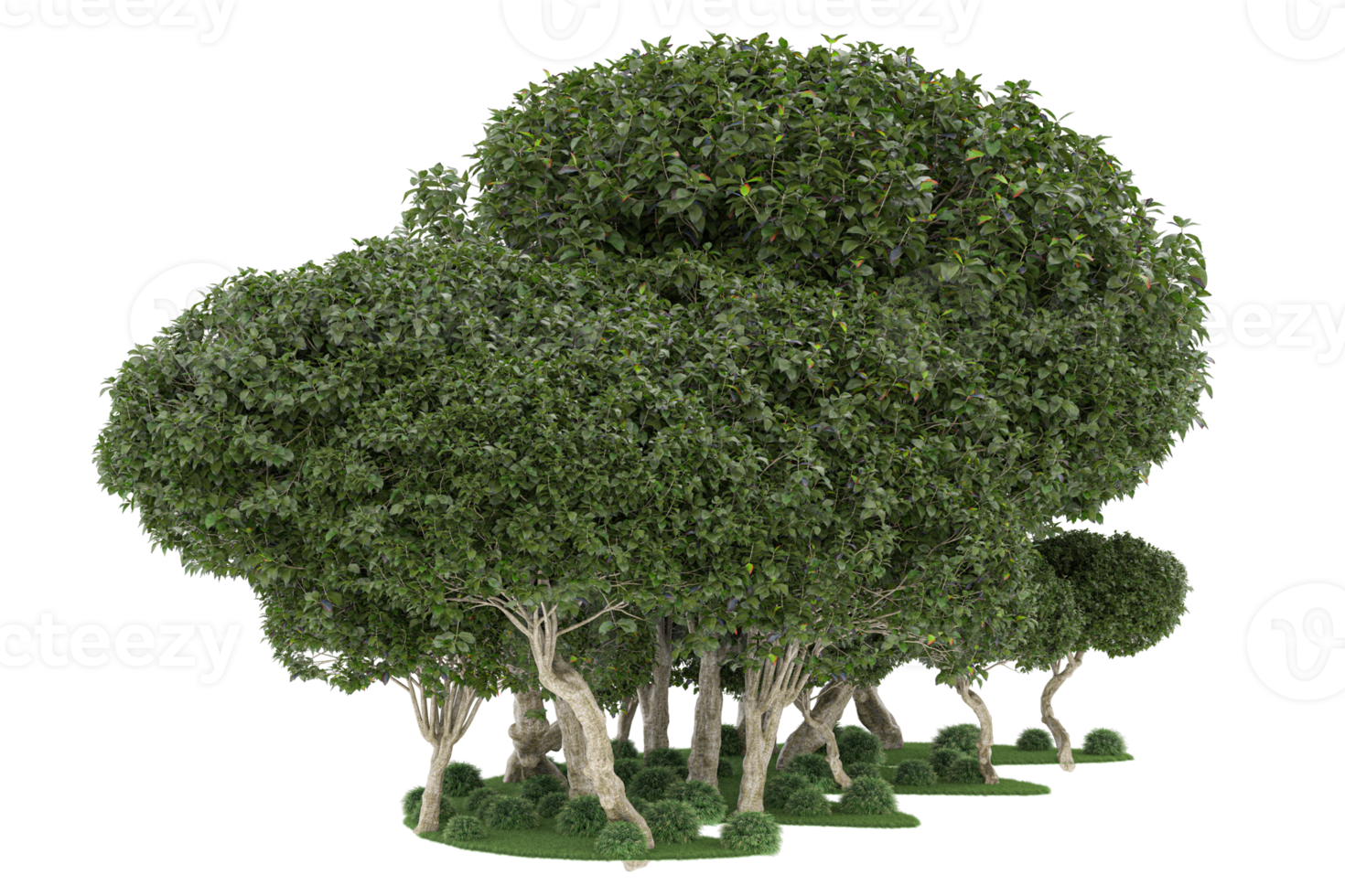 Realistic forest isolated on transparent background. 3d rendering - illustration png