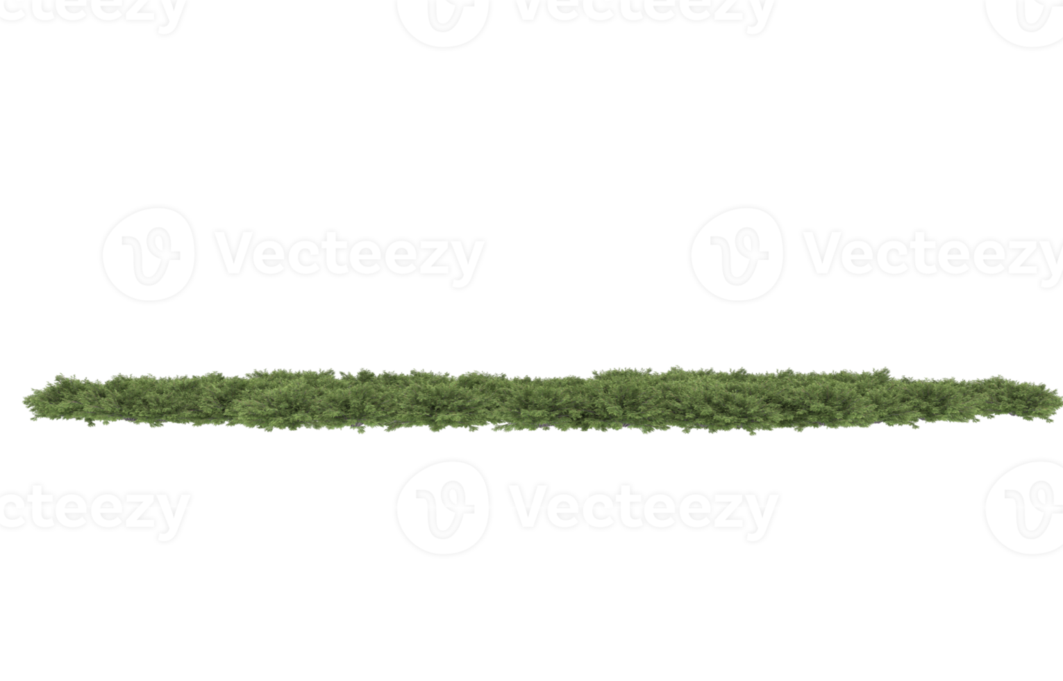 Realistic foliage isolated on transparent background. 3d rendering - illustration png