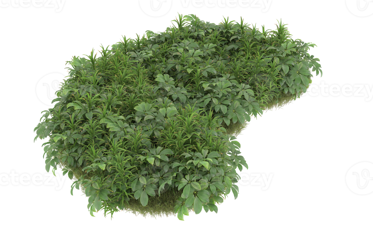Realistic foliage isolated on transparent background. 3d rendering - illustration png