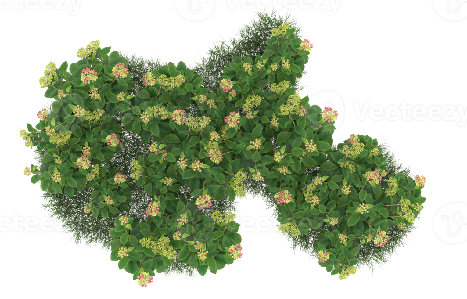 Realistic foliage isolated on transparent background. 3d rendering - illustration png