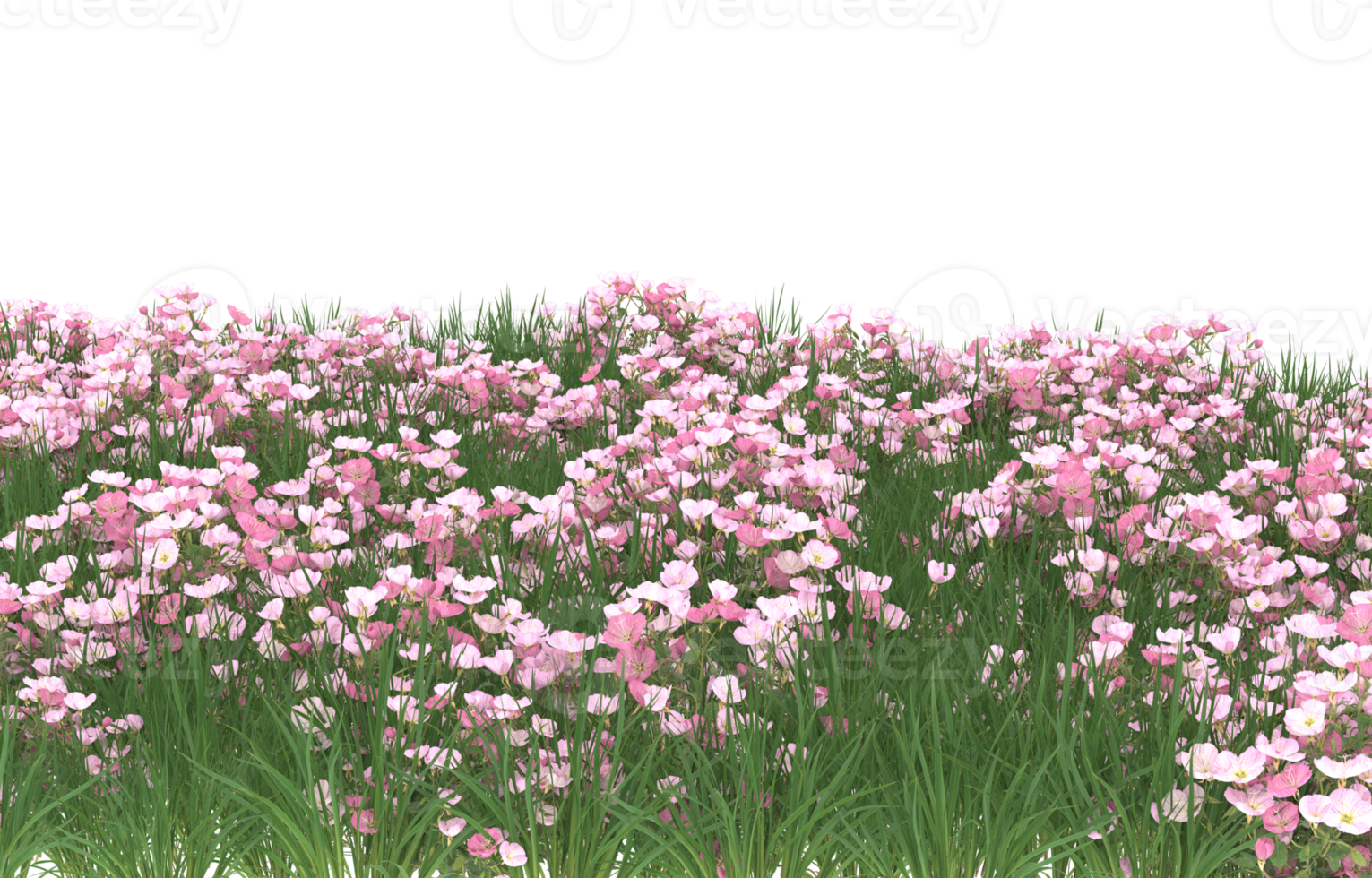 Realistic foliage isolated on transparent background. 3d rendering - illustration png
