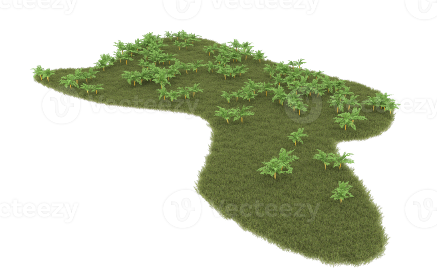 Realistic foliage isolated on transparent background. 3d rendering - illustration png