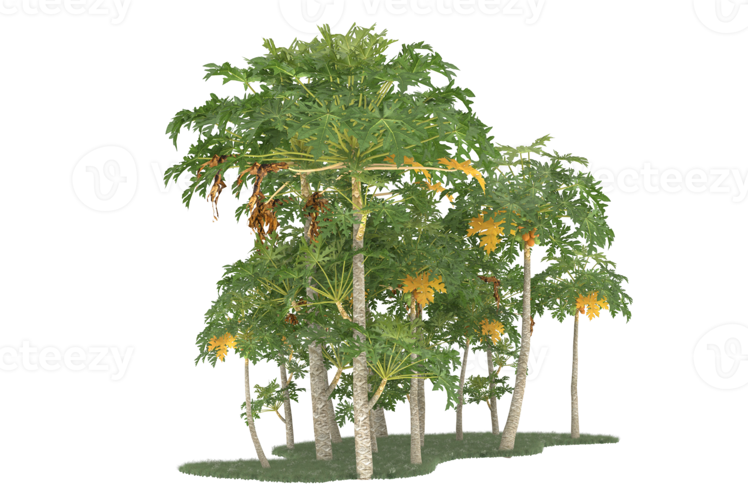 Realistic forest isolated on transparent background. 3d rendering - illustration png