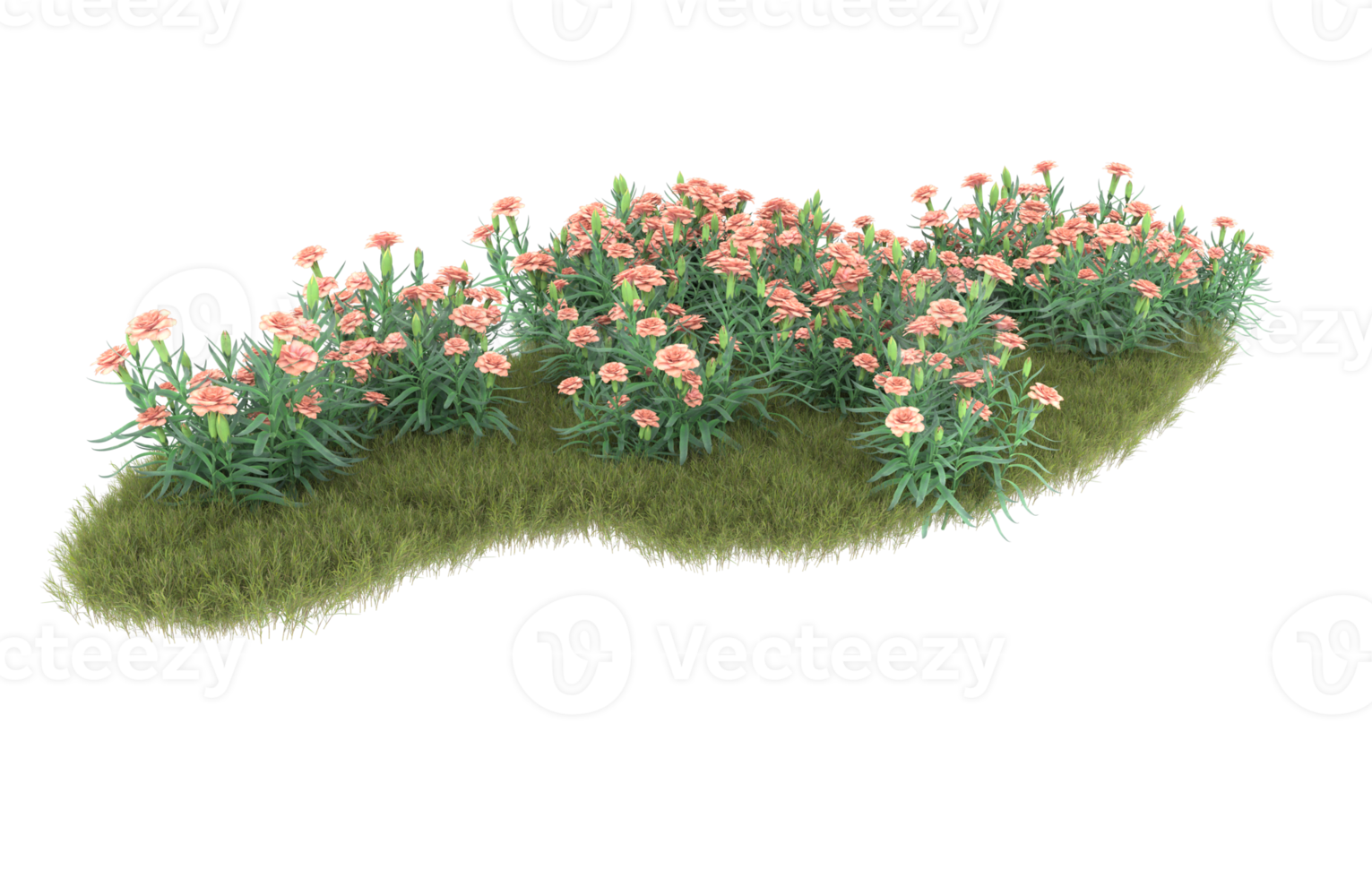 Realistic foliage isolated on transparent background. 3d rendering - illustration png