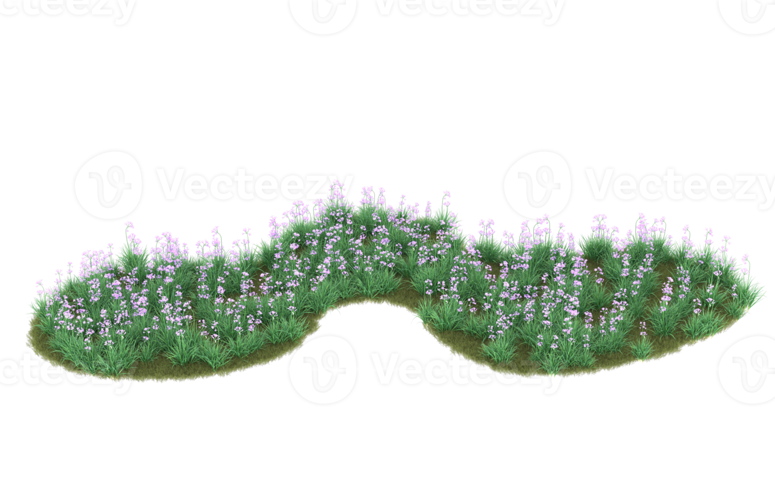 Realistic foliage isolated on transparent background. 3d rendering - illustration png