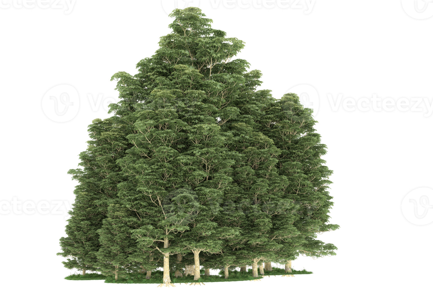 realistico foresta isolato su trasparente sfondo. 3d interpretazione - illustrazione png