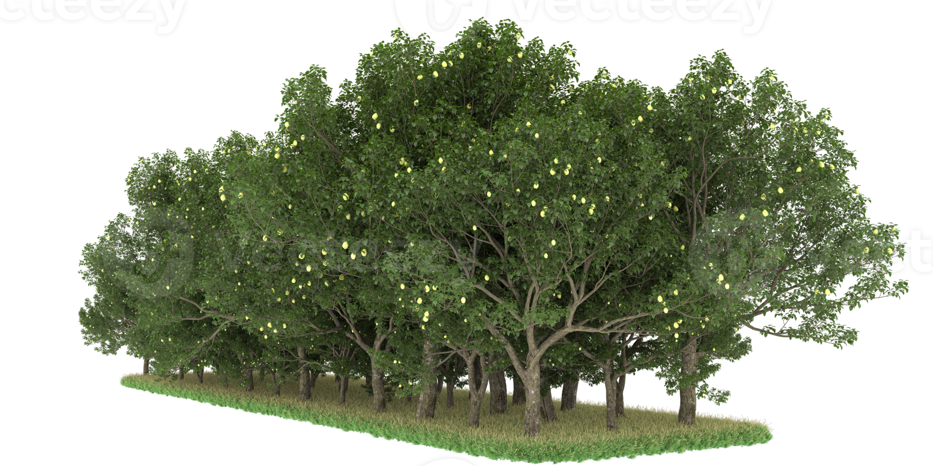 Realistic forest isolated on transparent background. 3d rendering - illustration png