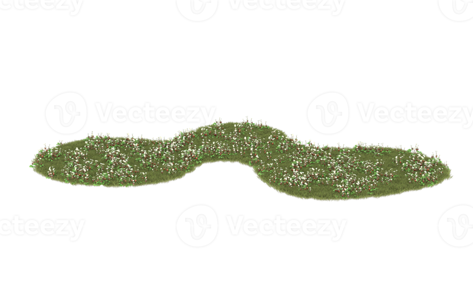 realistisk lövverk isolerat på transparent bakgrund. 3d tolkning - illustration png