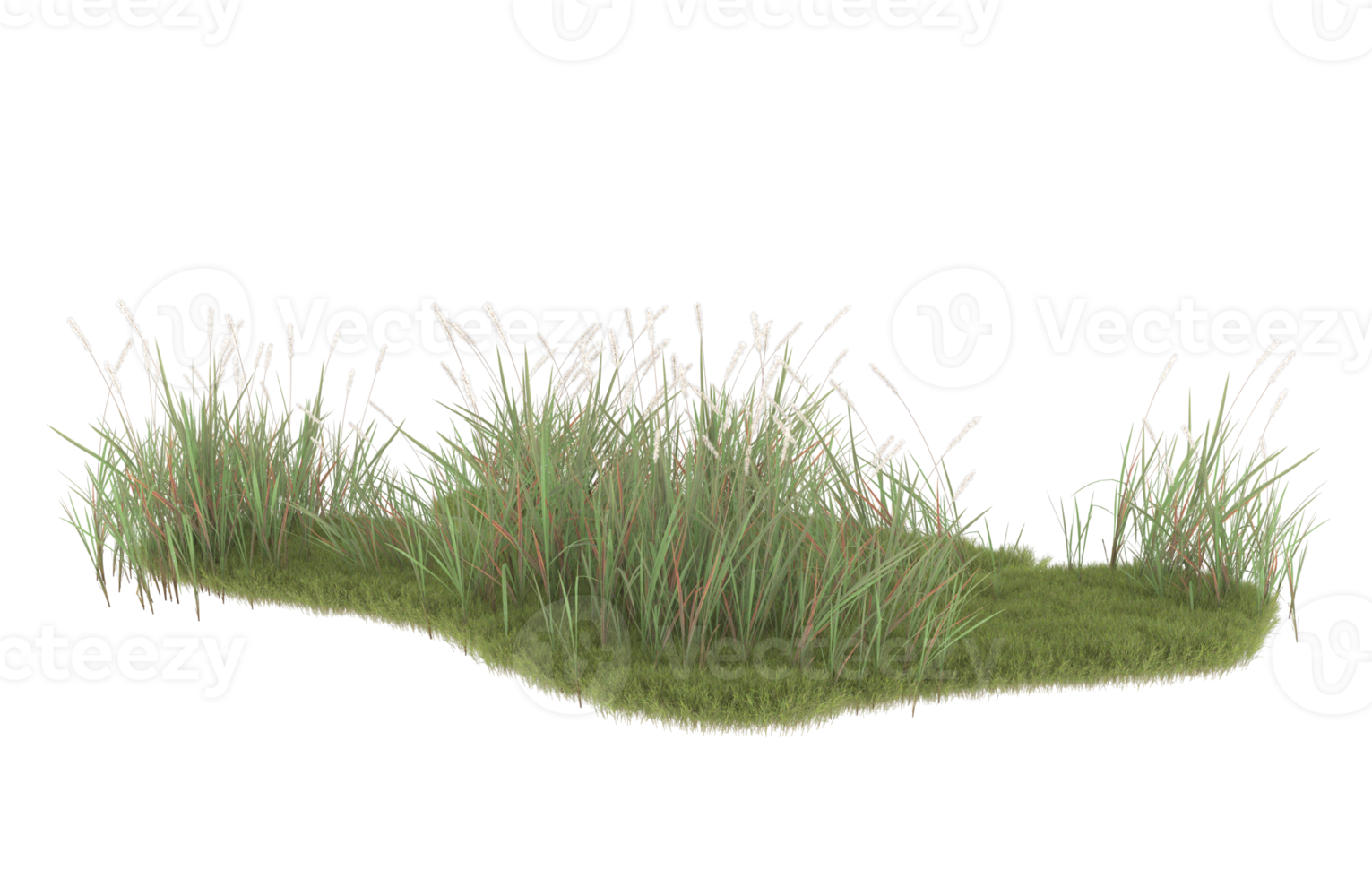 realistisk lövverk isolerat på transparent bakgrund. 3d tolkning - illustration png