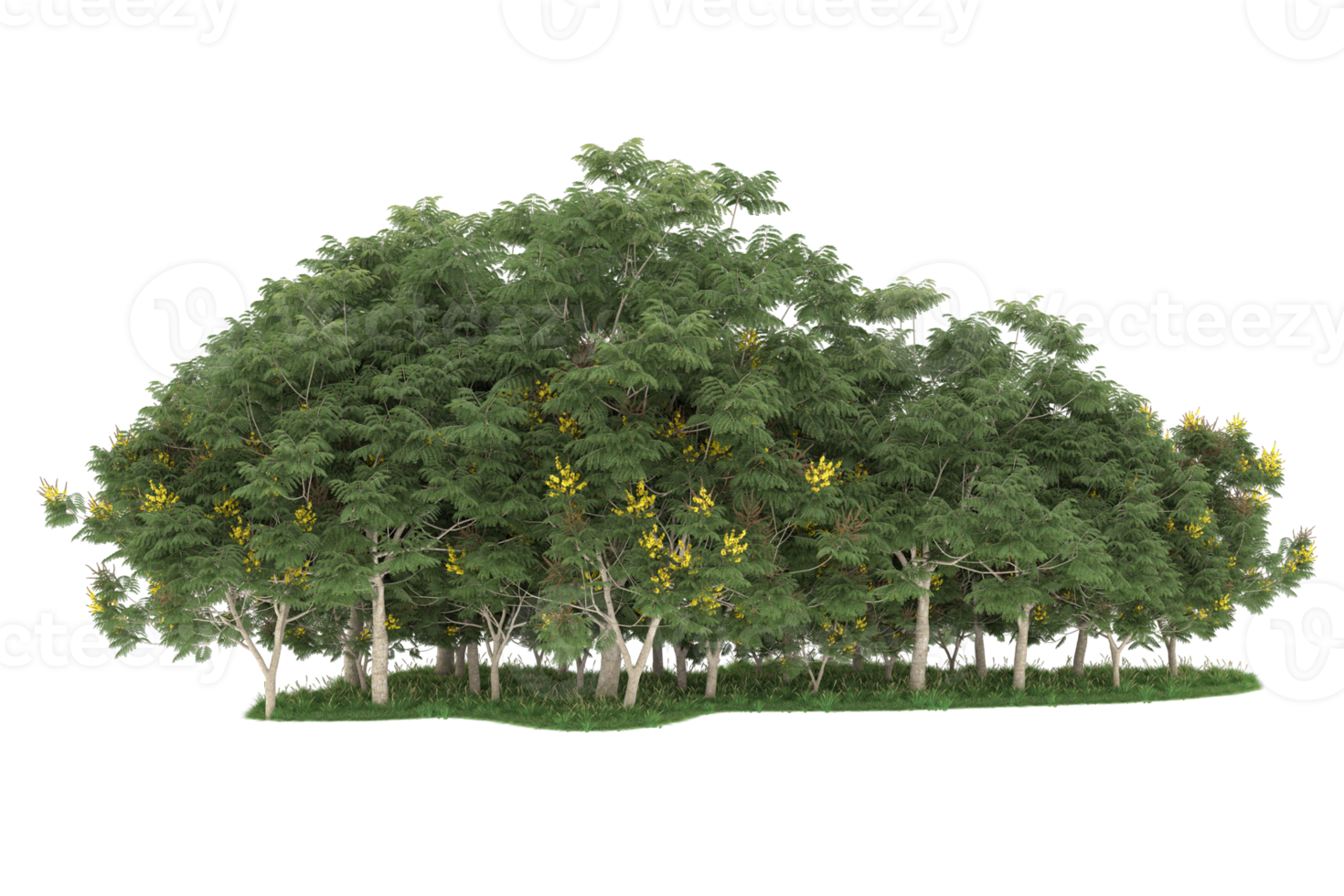 Realistic forest isolated on transparent background. 3d rendering - illustration png