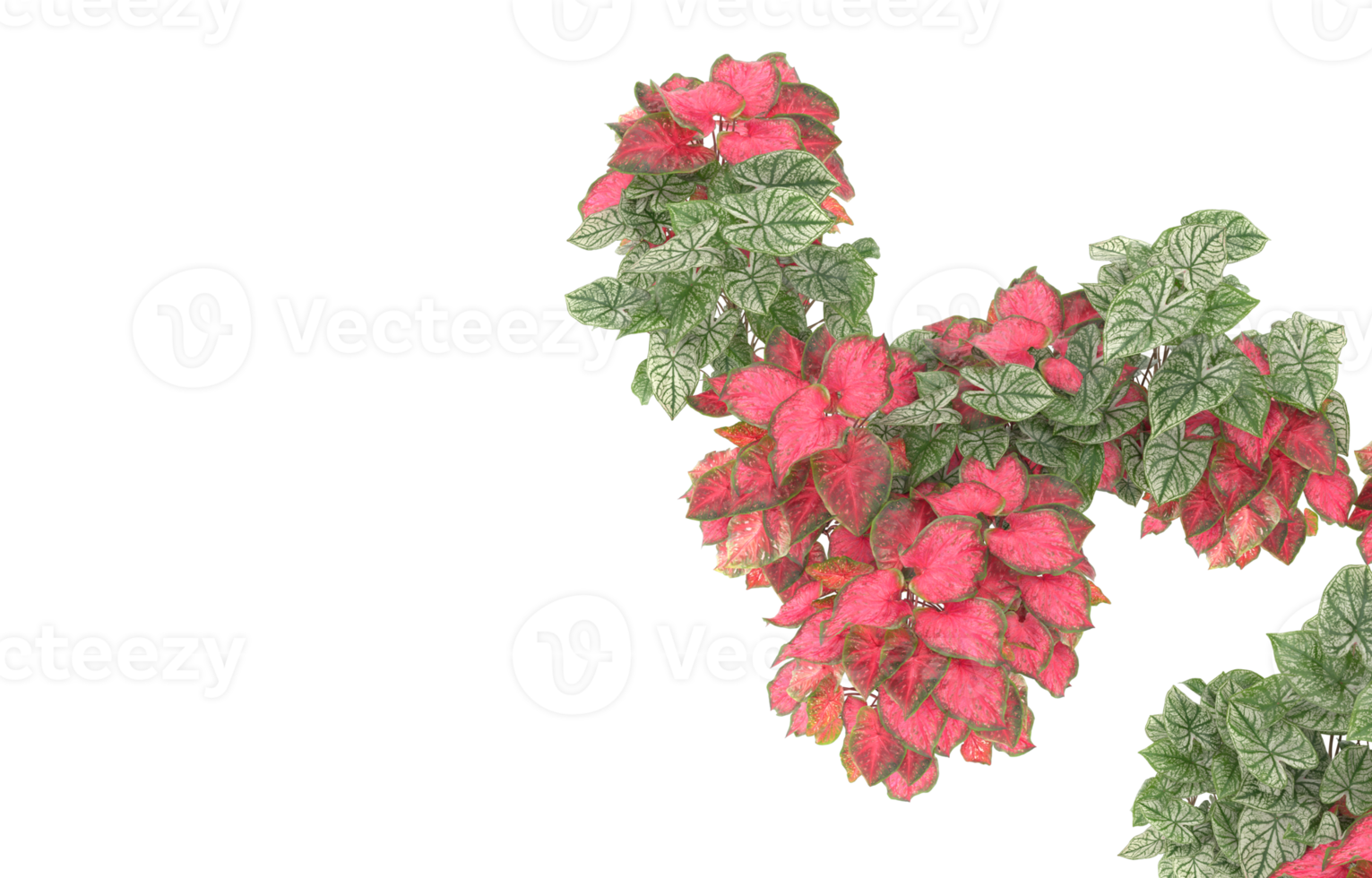 Realistic foliage isolated on transparent background. 3d rendering - illustration png