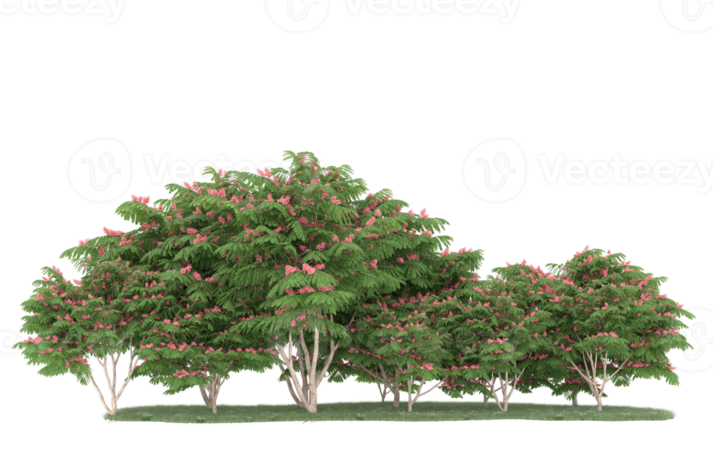 Realistic forest isolated on transparent background. 3d rendering - illustration png