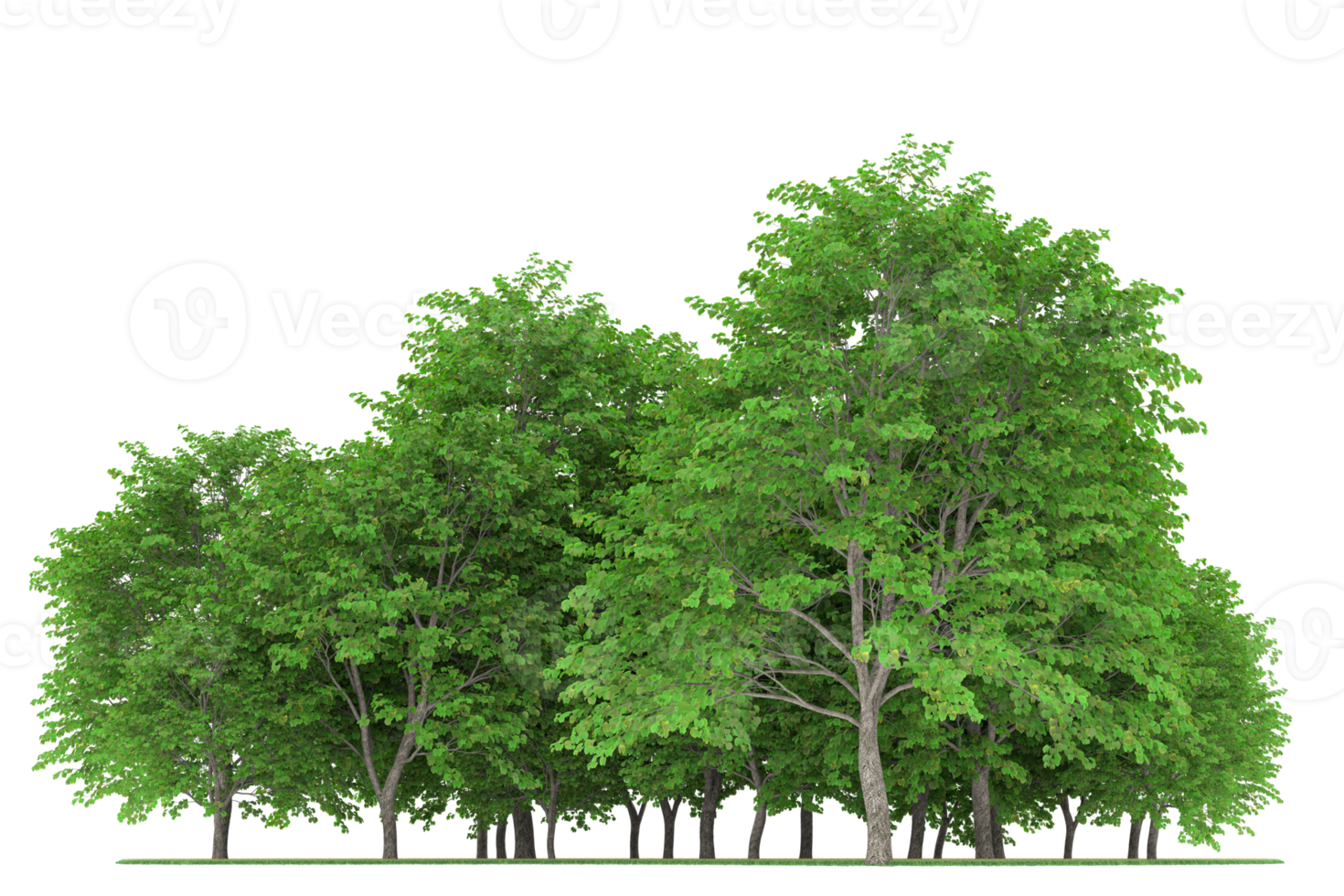 Realistic forest isolated on transparent background. 3d rendering - illustration png
