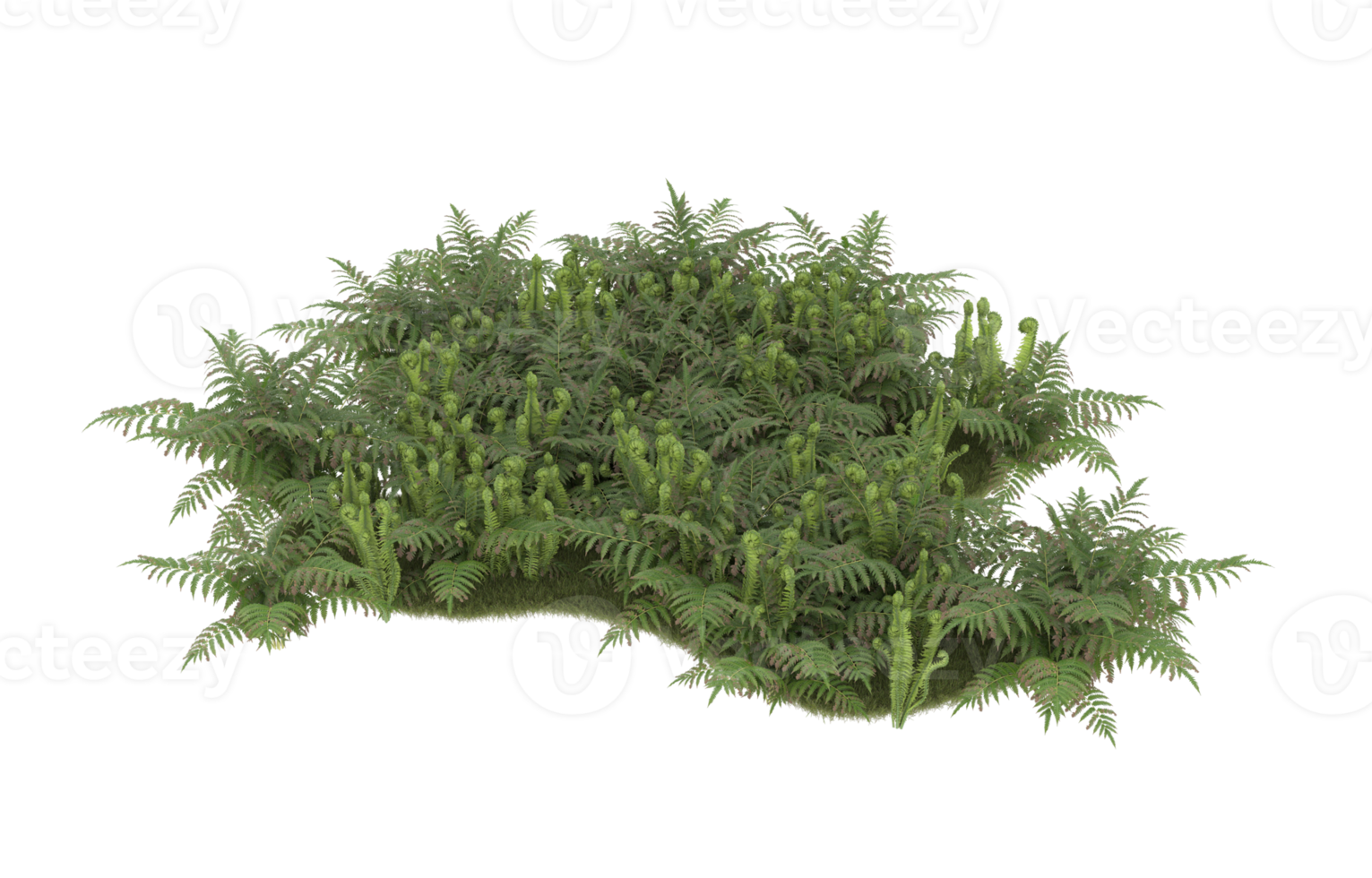 Realistic foliage isolated on transparent background. 3d rendering - illustration png
