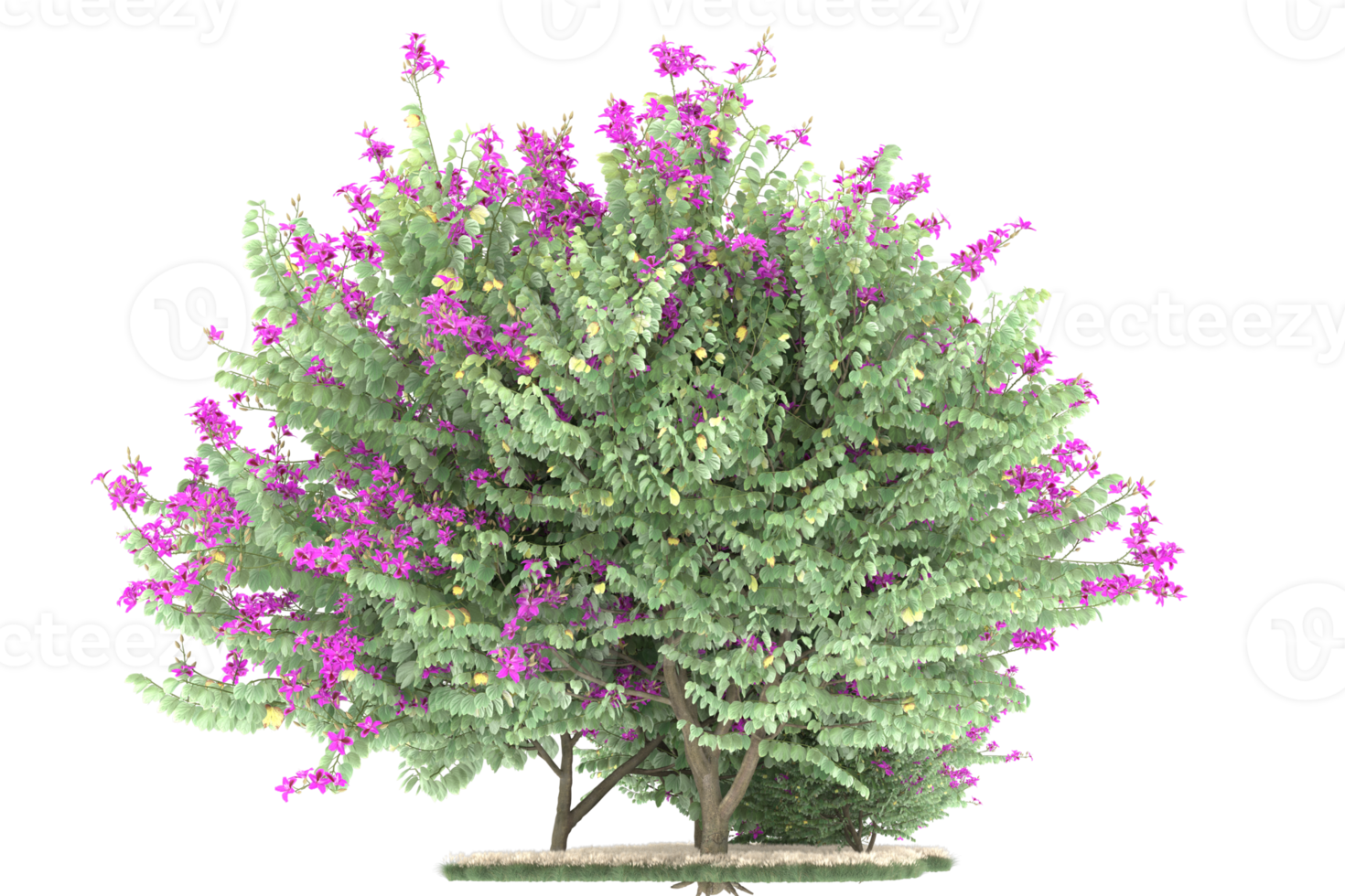 Realistic forest isolated on transparent background. 3d rendering - illustration png