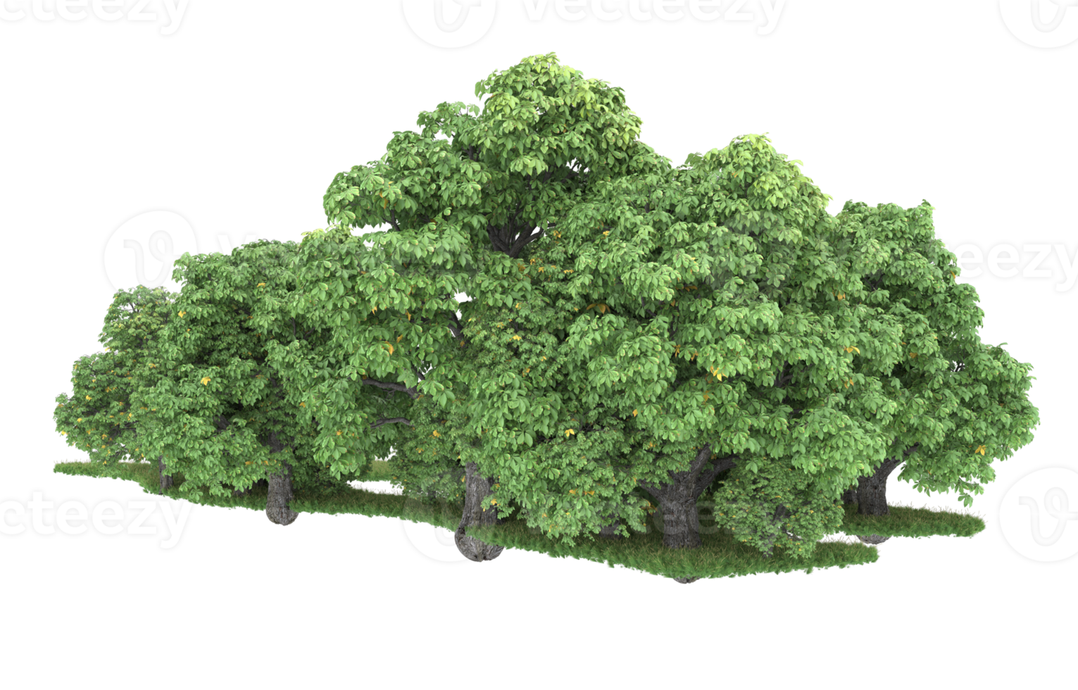Realistic forest isolated on transparent background. 3d rendering - illustration png