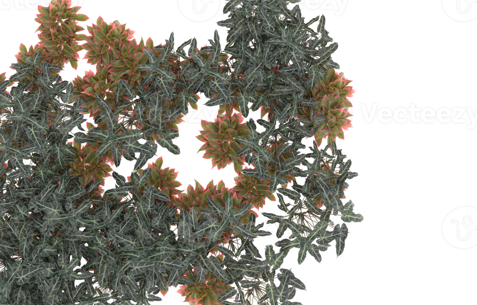 Realistic foliage isolated on transparent background. 3d rendering - illustration png