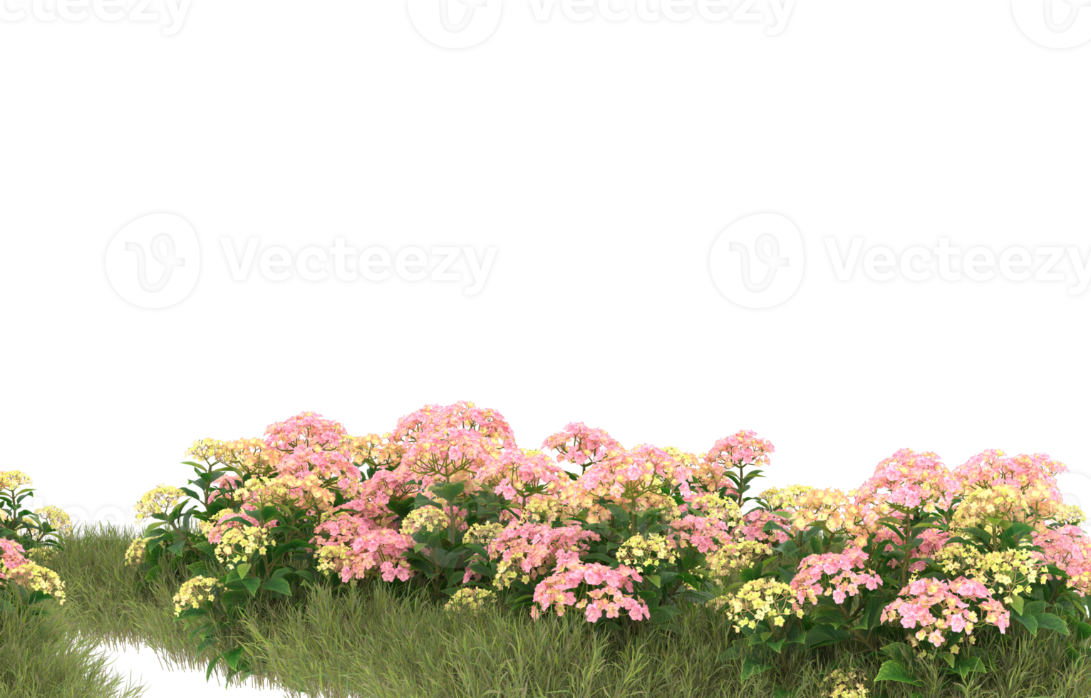 Realistic foliage isolated on transparent background. 3d rendering - illustration png