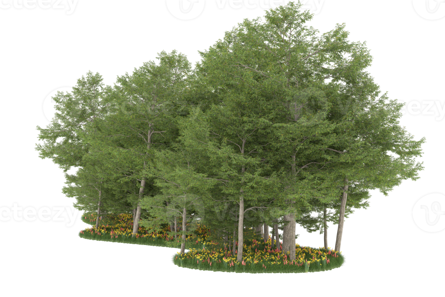 Realistic forest isolated on transparent background. 3d rendering - illustration png