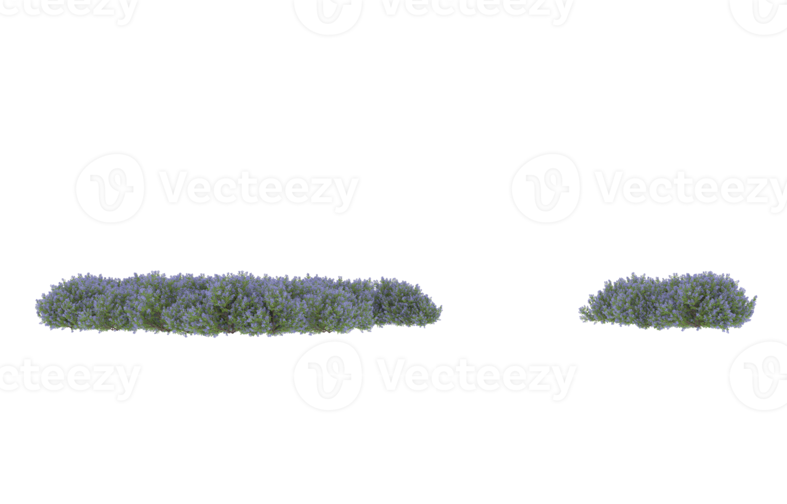 realistisk lövverk isolerat på transparent bakgrund. 3d tolkning - illustration png