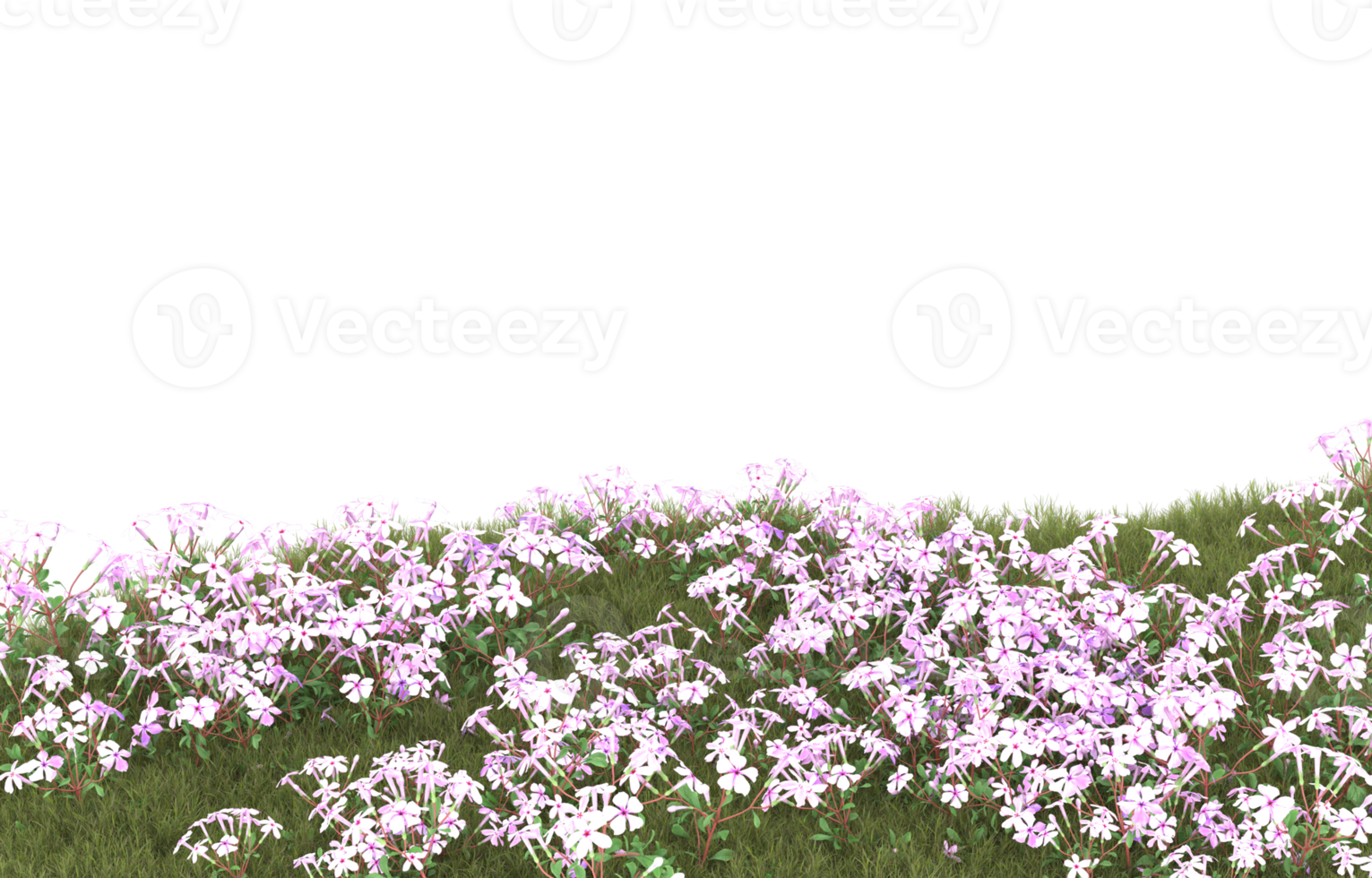 Realistic foliage isolated on transparent background. 3d rendering - illustration png