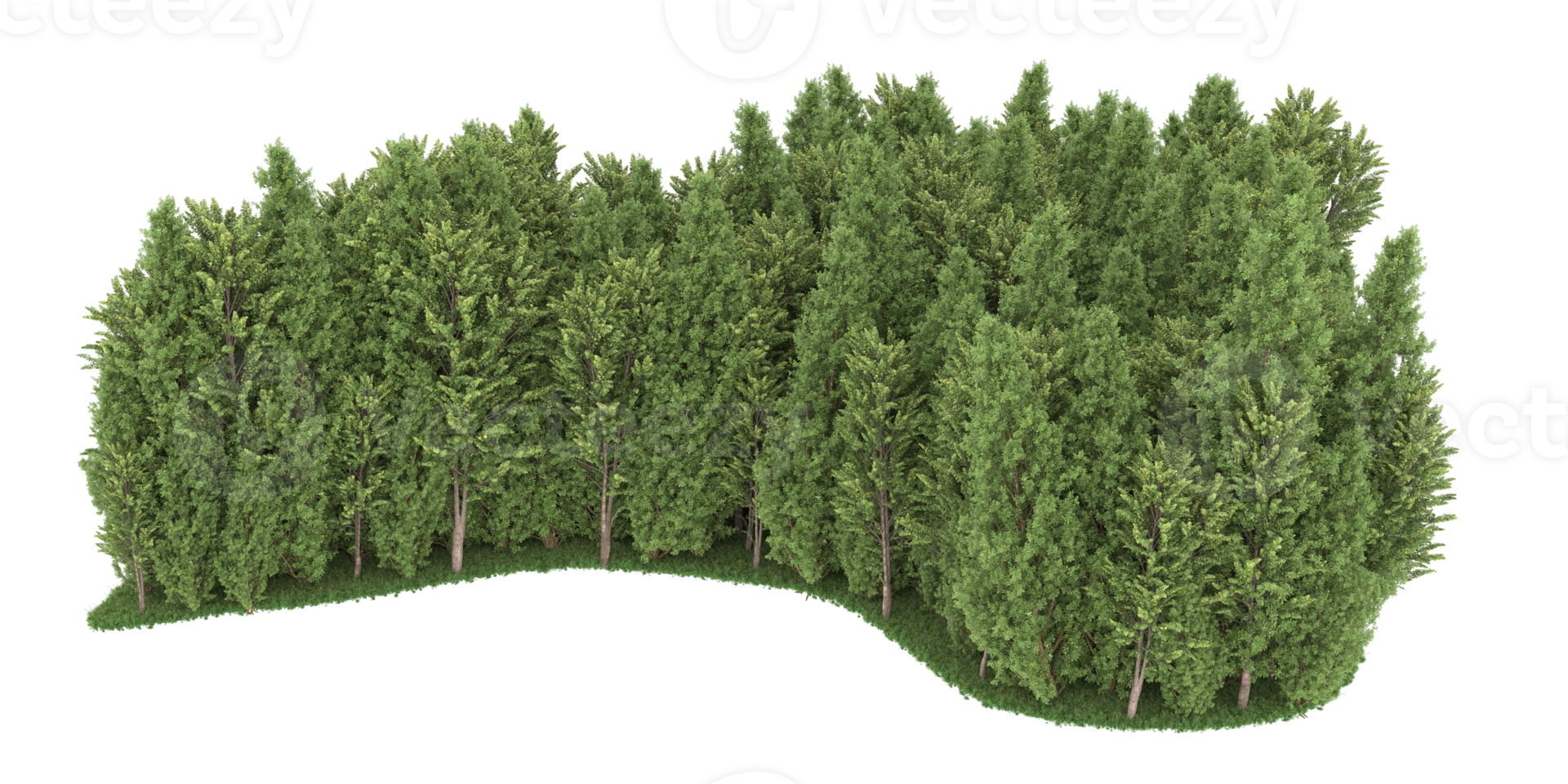 Realistic forest isolated on transparent background. 3d rendering - illustration png