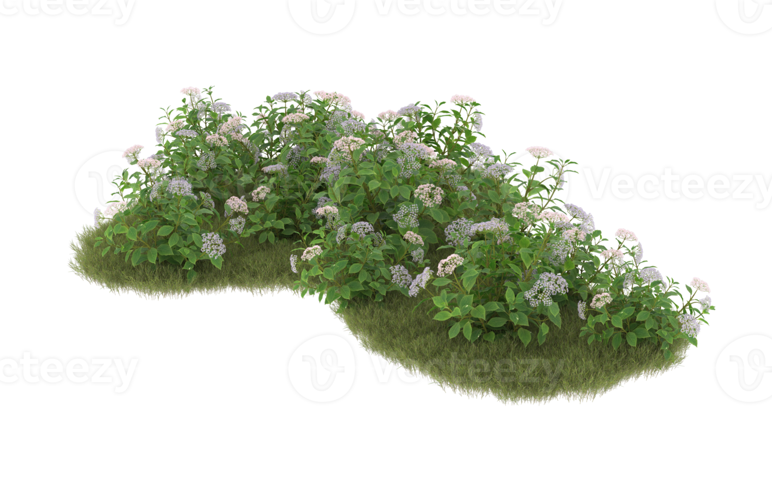 Realistic foliage isolated on transparent background. 3d rendering - illustration png