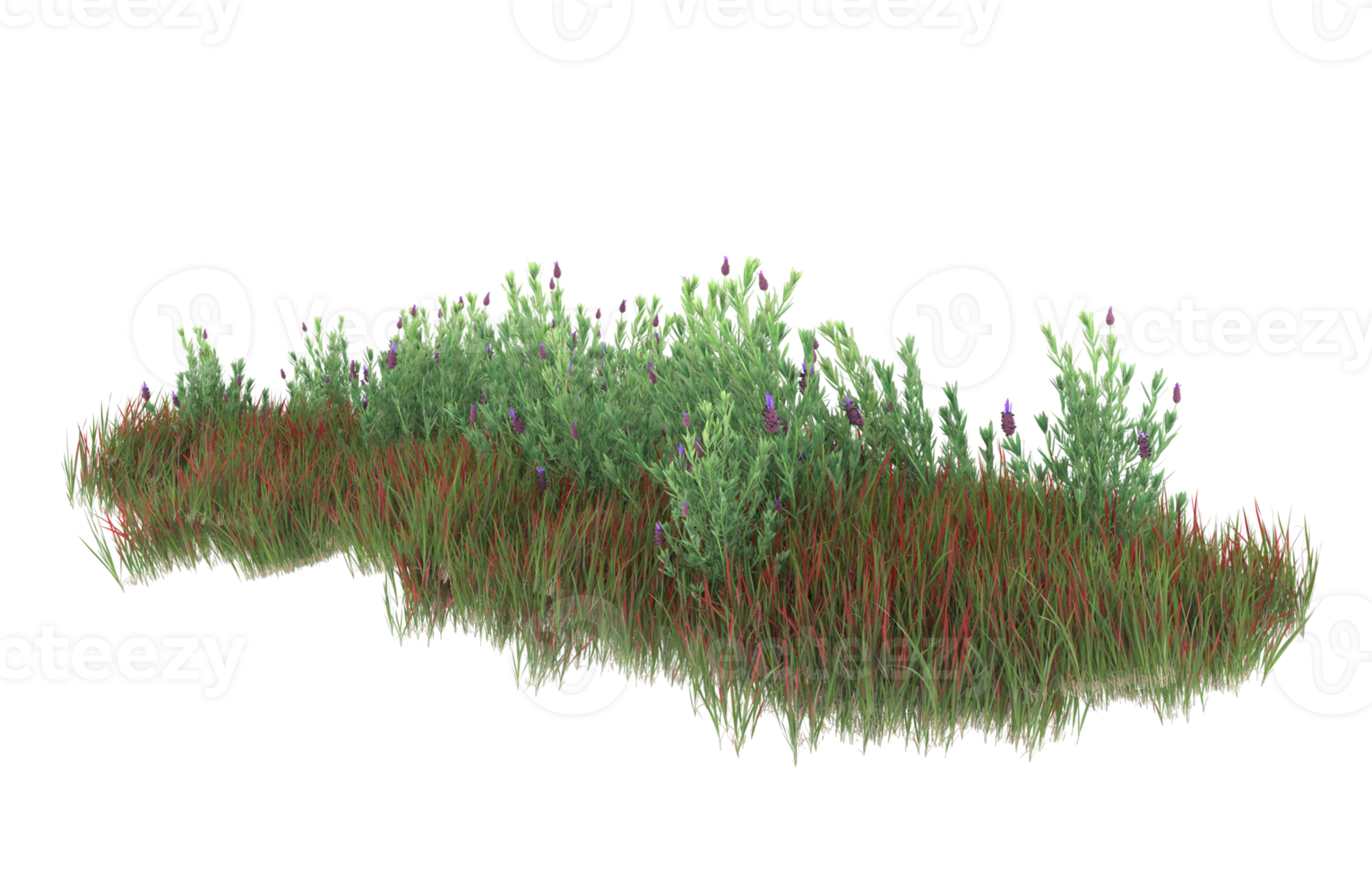 Realistic foliage isolated on transparent background. 3d rendering - illustration png