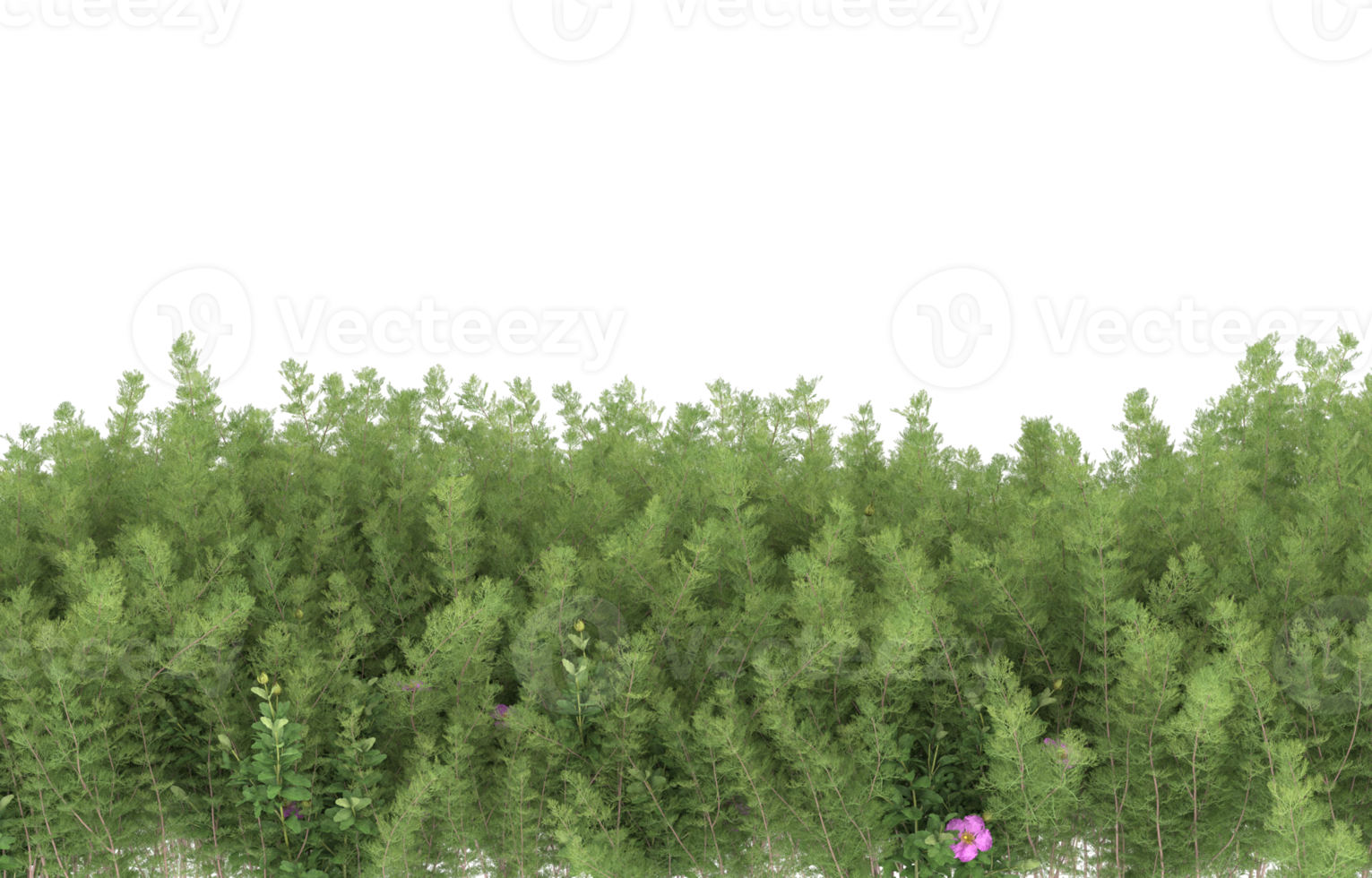 Realistic foliage isolated on transparent background. 3d rendering - illustration png