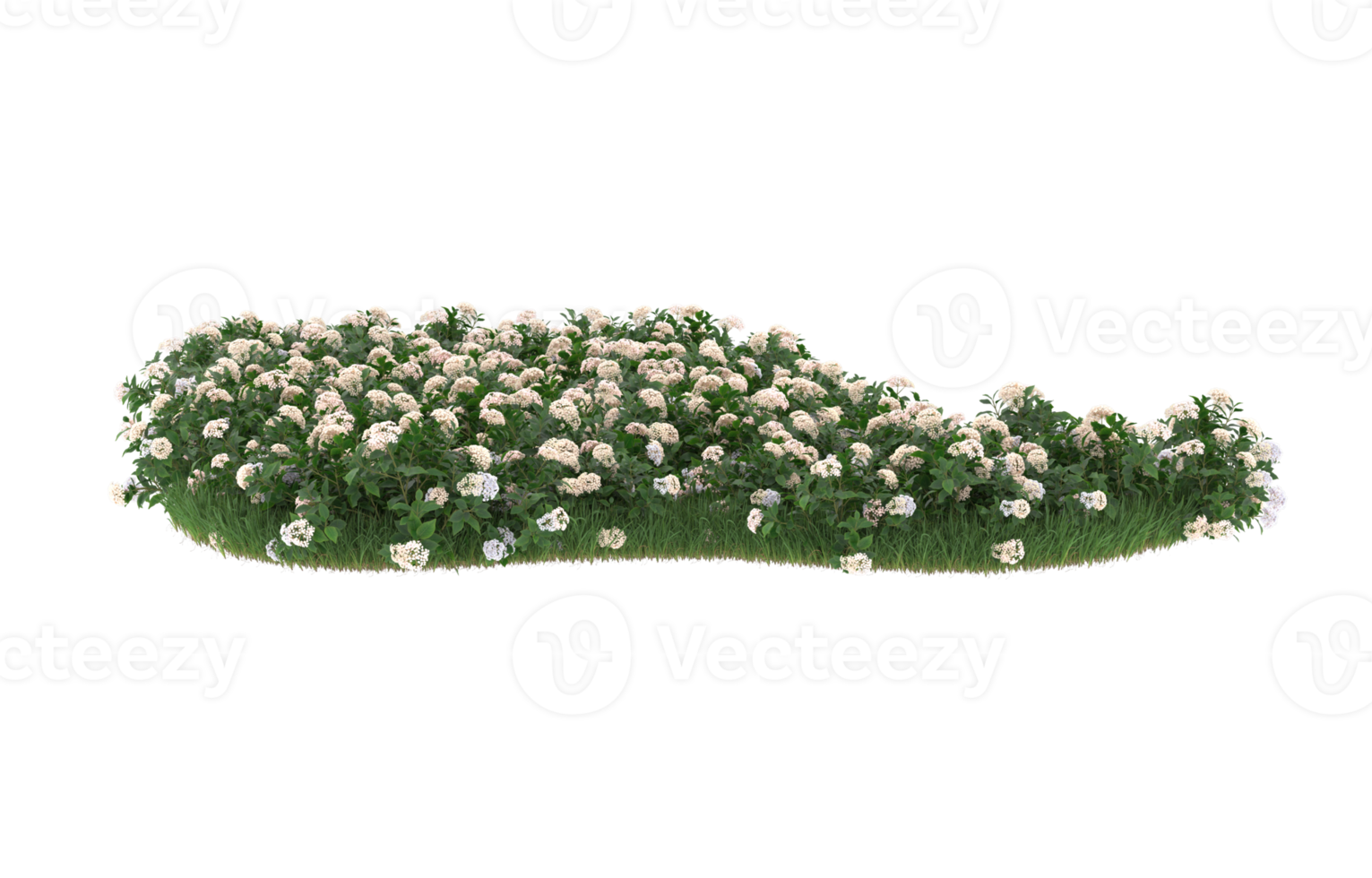 Realistic foliage isolated on transparent background. 3d rendering - illustration png